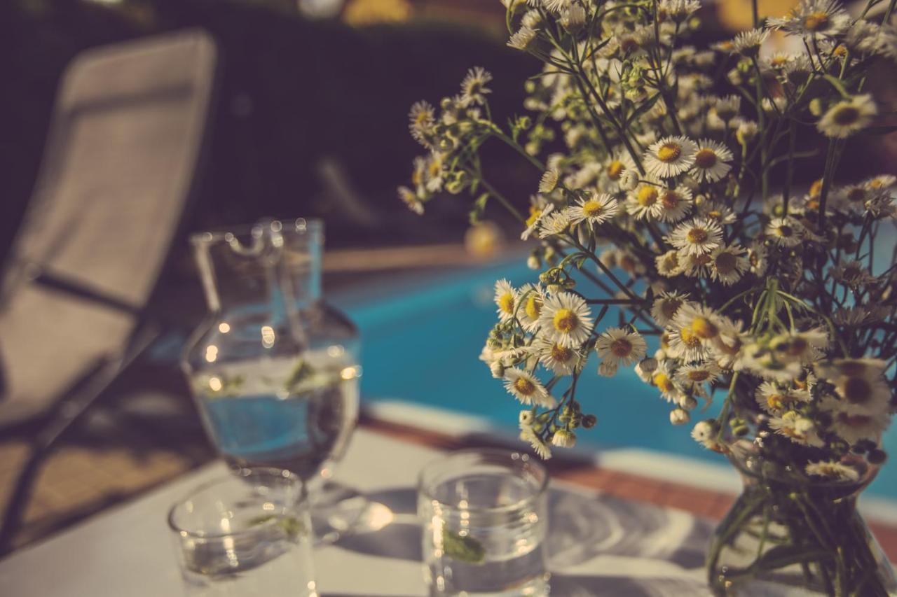 Agriturismo I Suri آستي المظهر الخارجي الصورة
